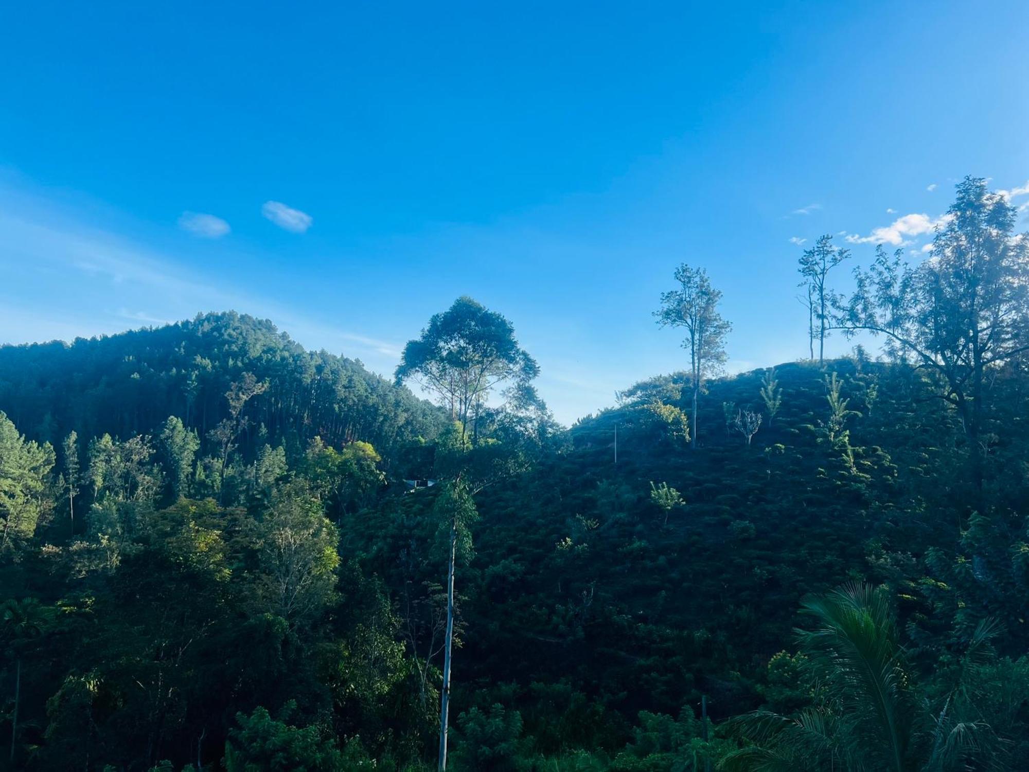Ella Silloam Villa Buitenkant foto